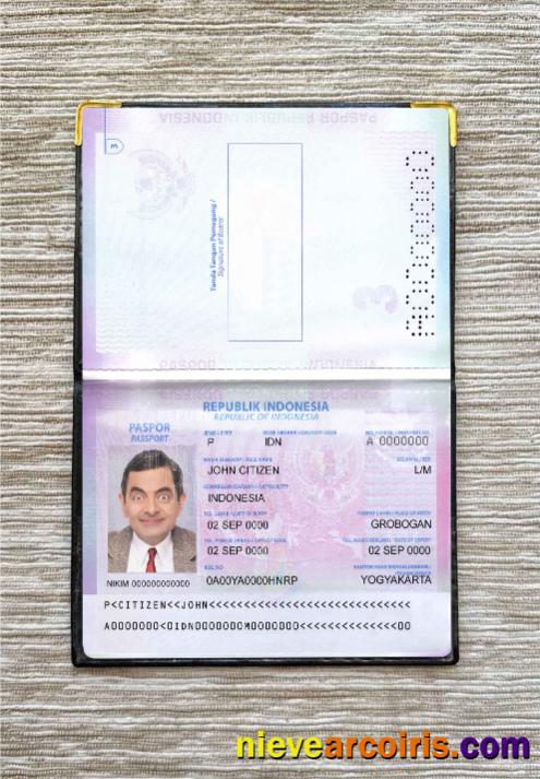 Indonesia passport version 2 photolook